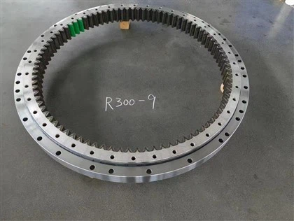 R 300-9 Bearing Swing
